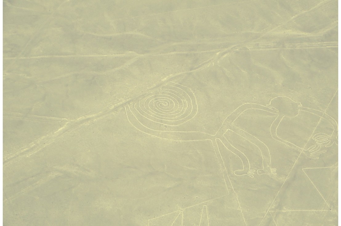 Can you see it, can you see&nbsp;it?